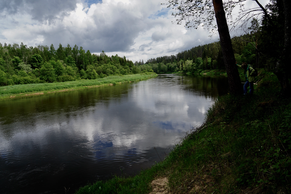 die Gauja